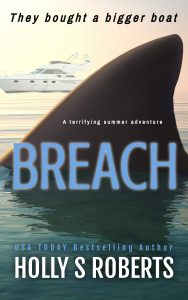 Breach cover 3