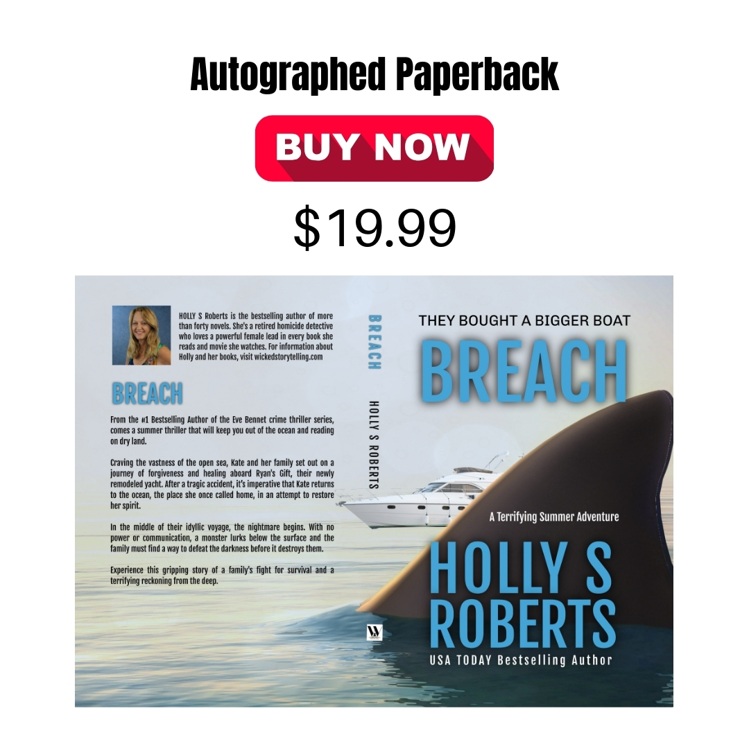 Breach paperback2