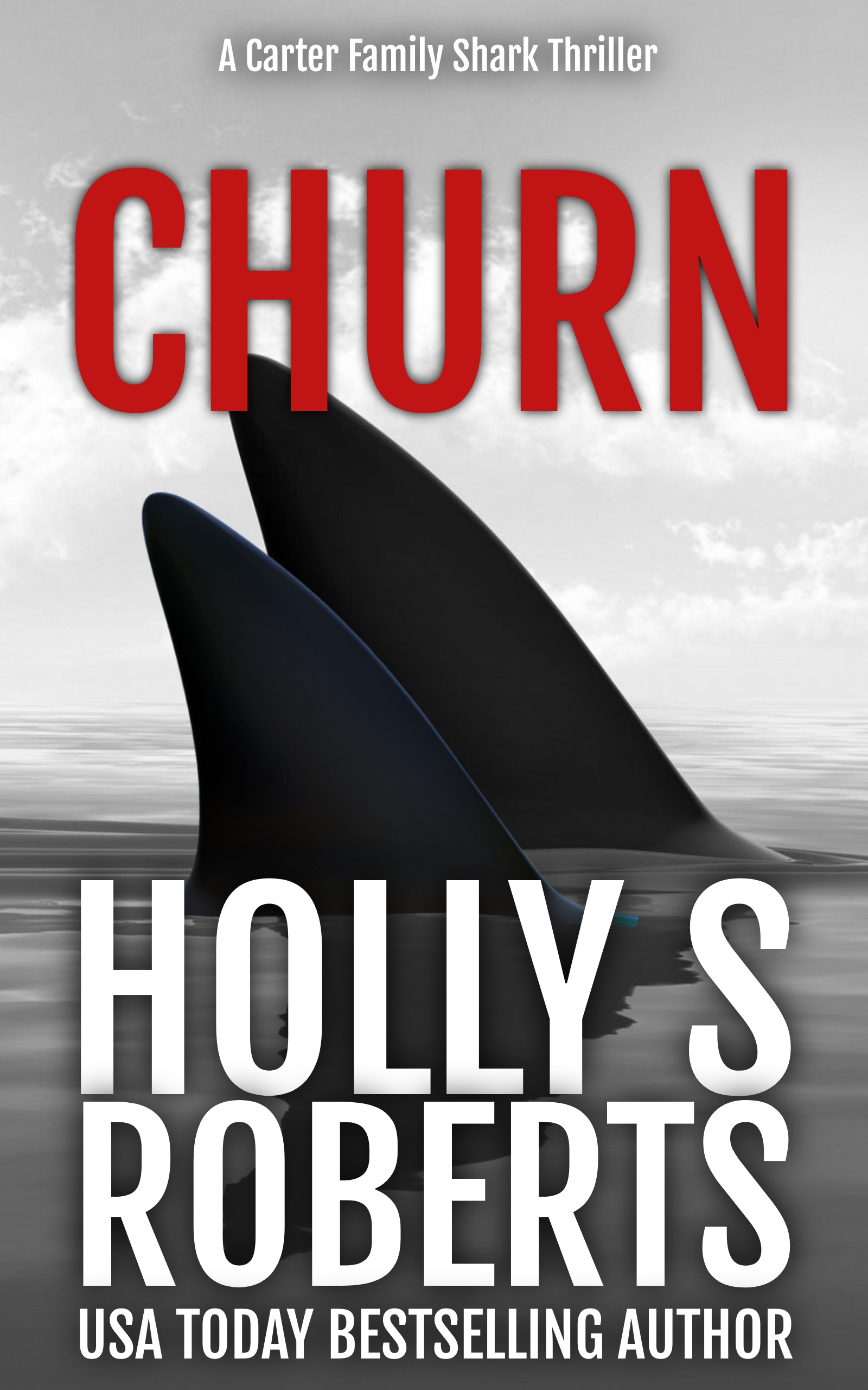 Churn Final Cover