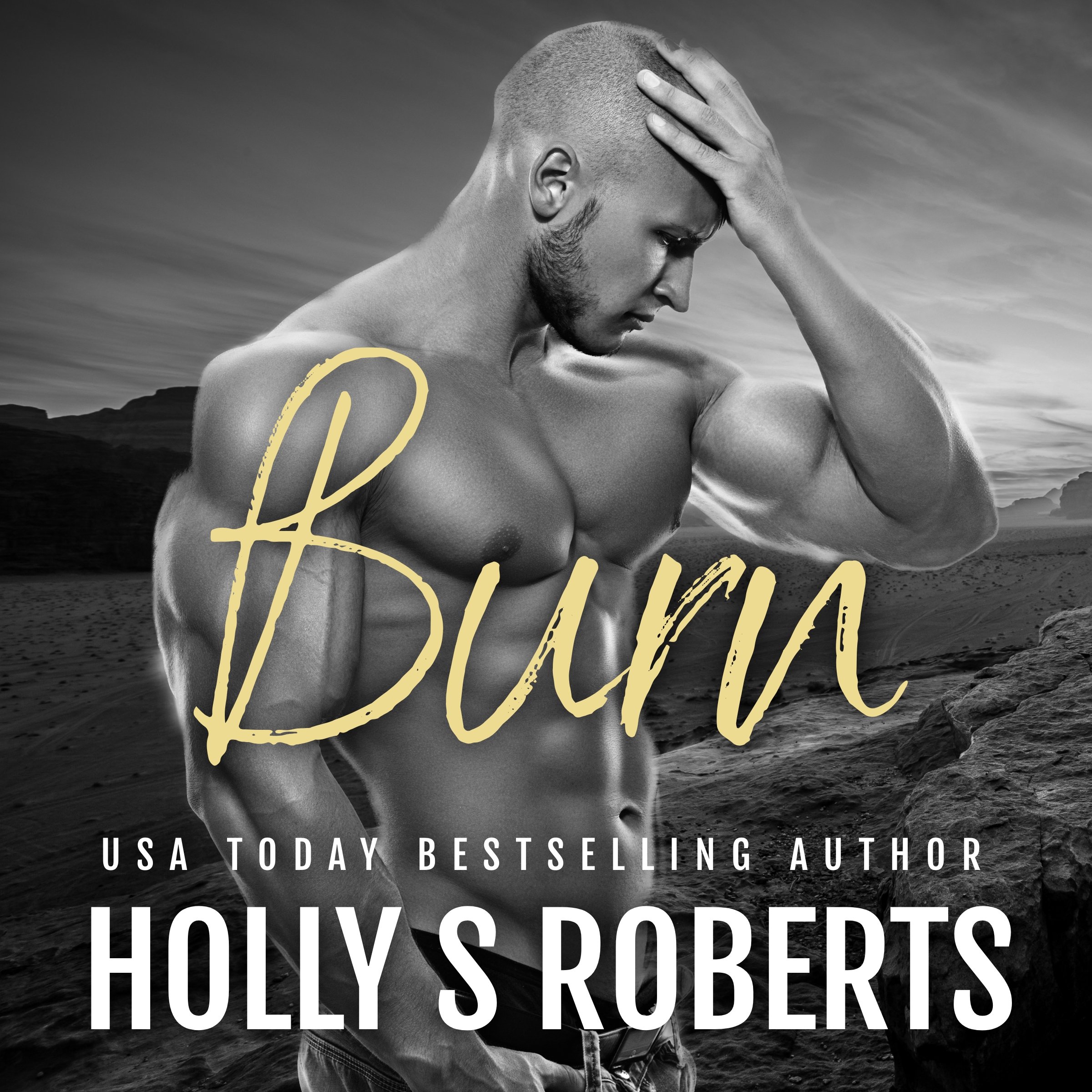 Burn audio cover