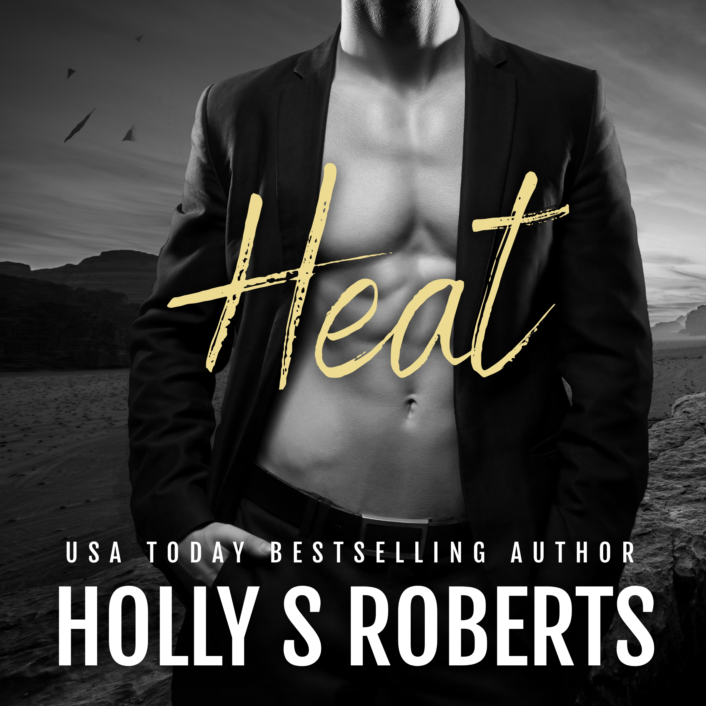 Heat Audio cover