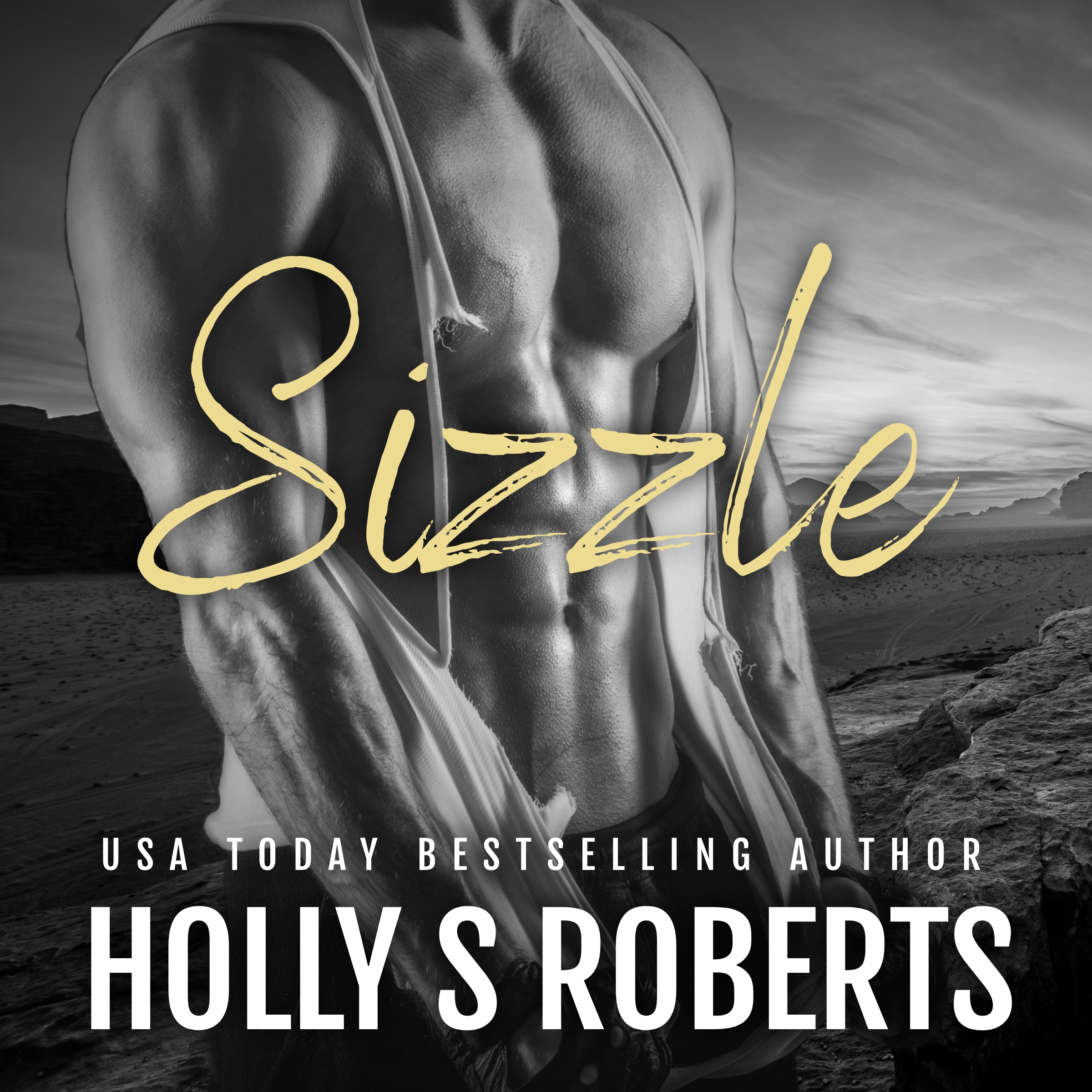 Sizzle audio cover