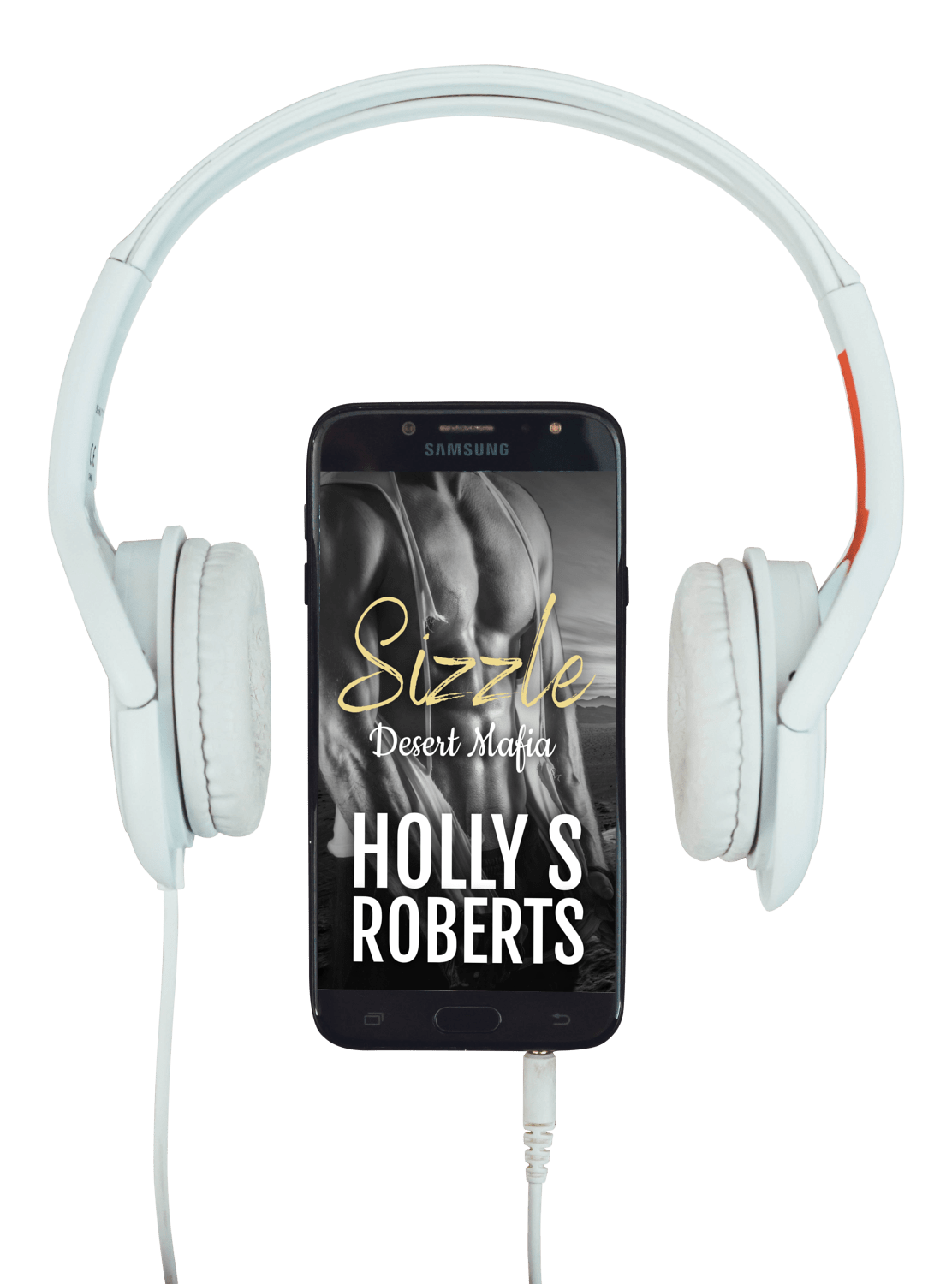 Sizzle audiobook by Holly S. Roberts