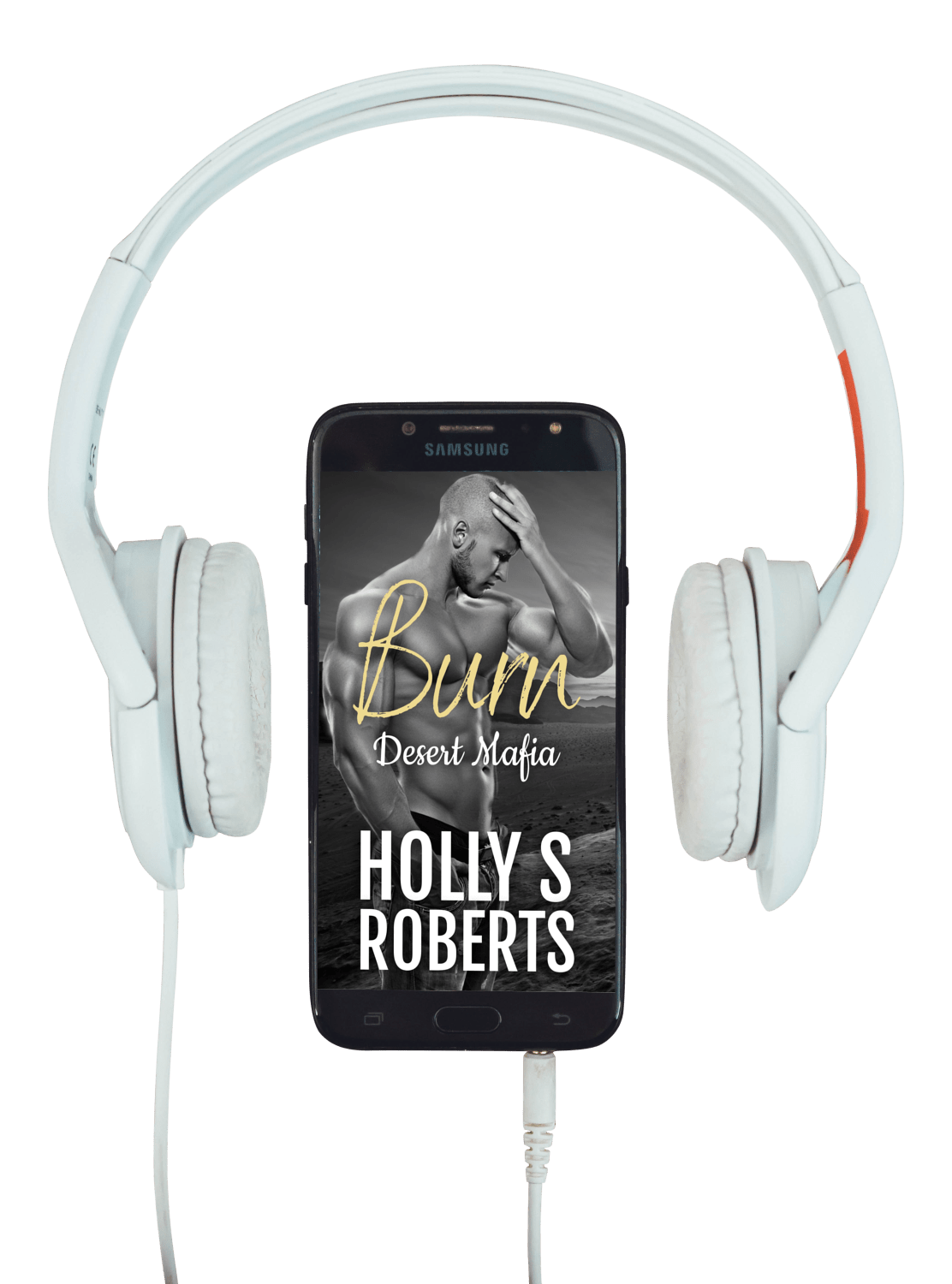 Burn audiobook by Holly S. Roberts
