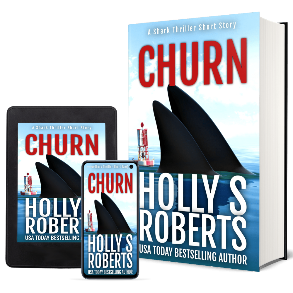 Churn by Holly S. Roberts